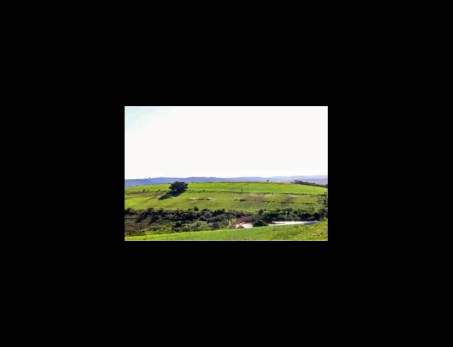 473HA FARM FOR SALE IN EAST LONDON RURAL